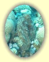 IMG_2007_05_26 13_47_55 * 1704 x 2272 * (538KB)